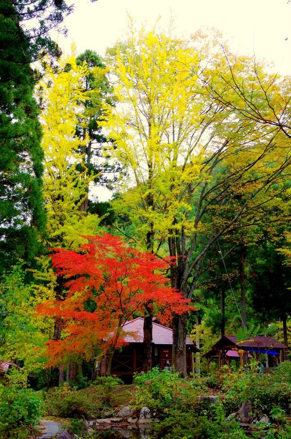 Woody Pal Yogo Vila Tsuruga Exterior foto